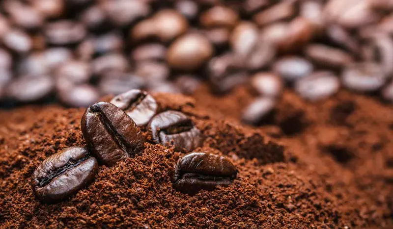 آیا پودر قهوه خراب میشه ؟ شرایط نگهداری از قهوه